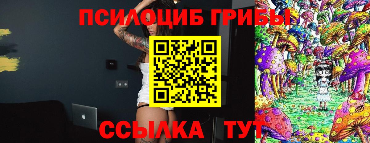 Галлюциногенные грибы Psilocybine cubensis  Вход с VPN  Ковров 